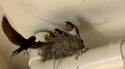 サムネイル画像 3