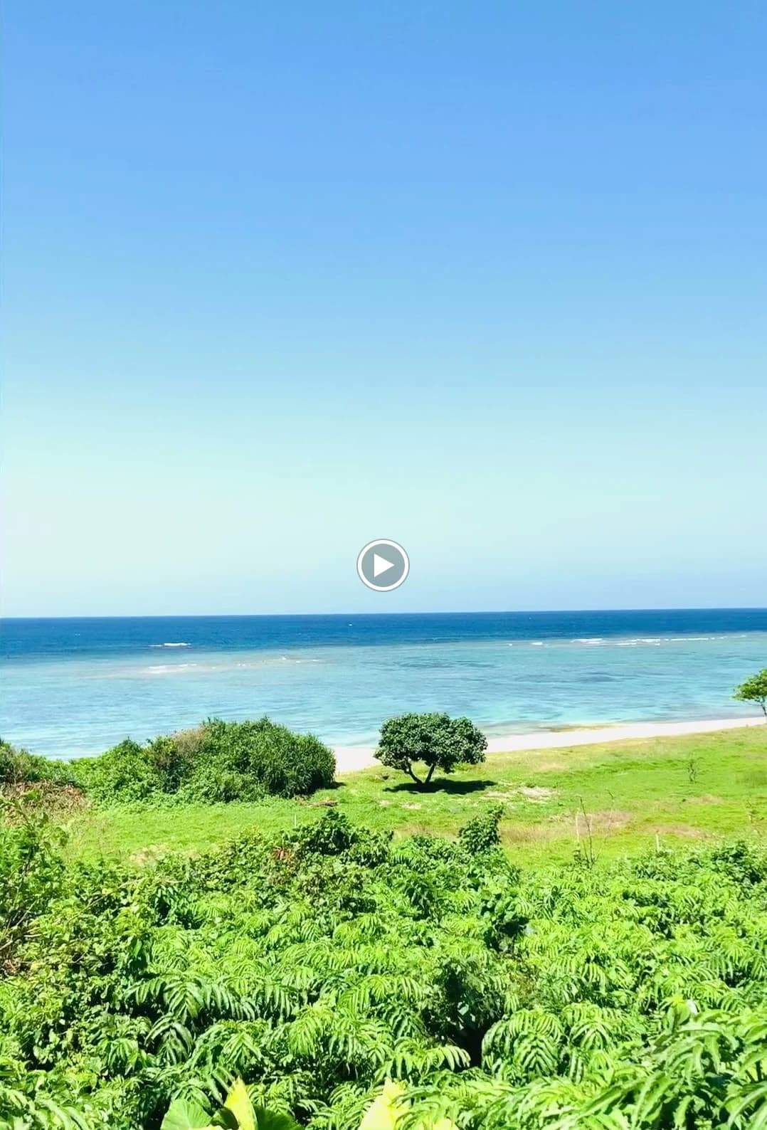 サムネイル画像 6