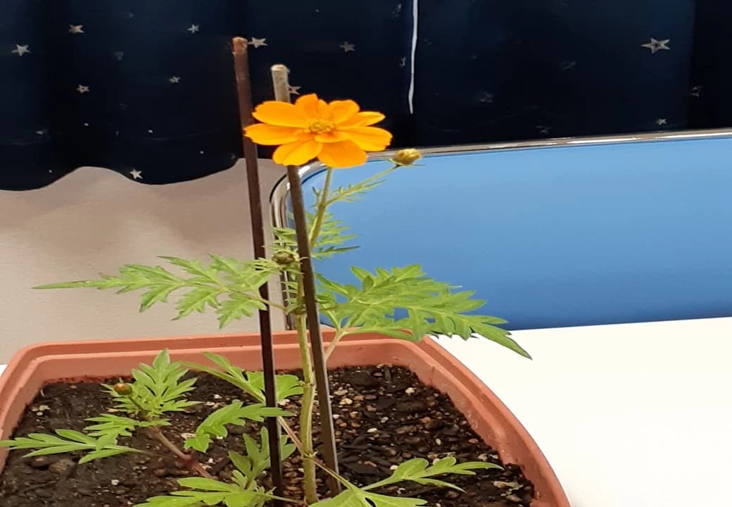 市民パソコン塾 ロボット・プログラミング教室 福島荒井校 画像 21