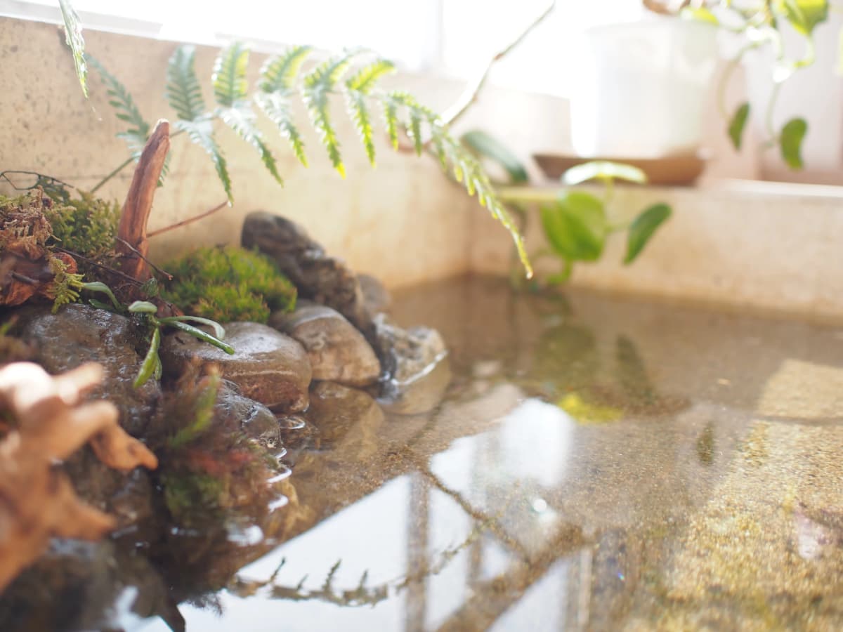 サムネイル画像 5