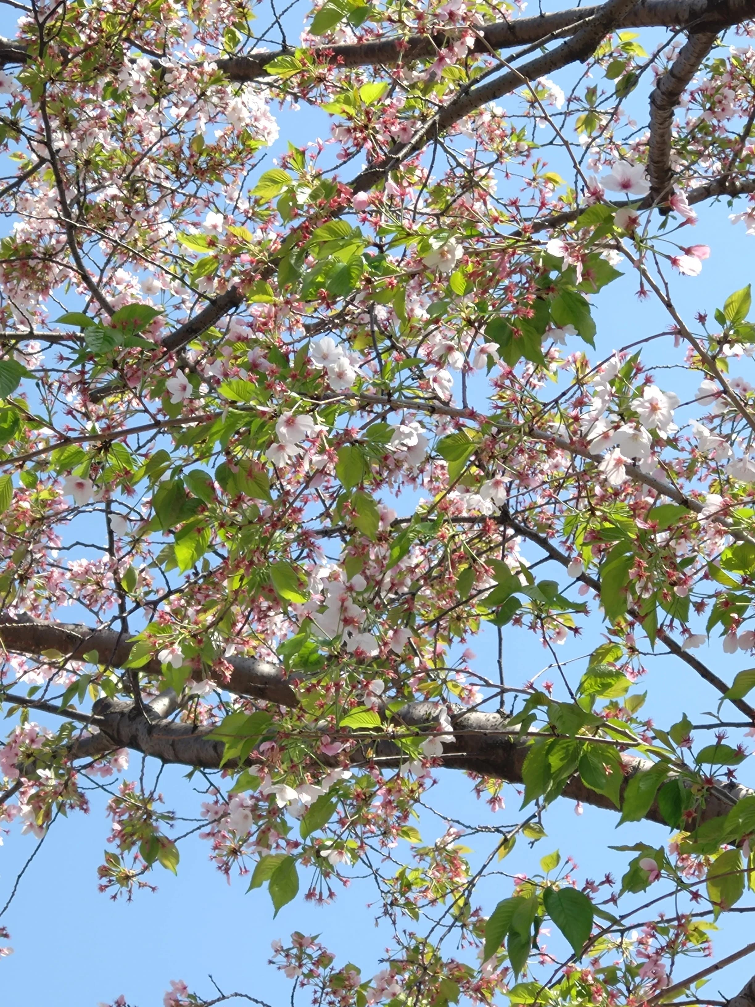 GOOD TIME!(グッドタイム) ロボット・プログラミング教室 東日暮里教室 画像 17