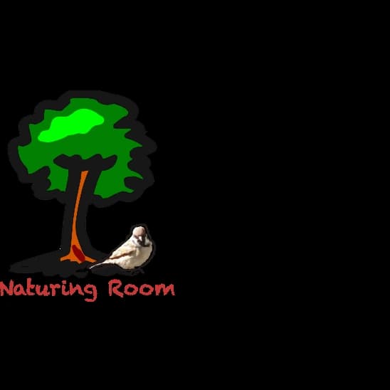 ヒューマンアカデミージュニア ロボット・プログラミング教室 百合ヶ丘駅前 ネイチャリングルームのサムネイル画像 2