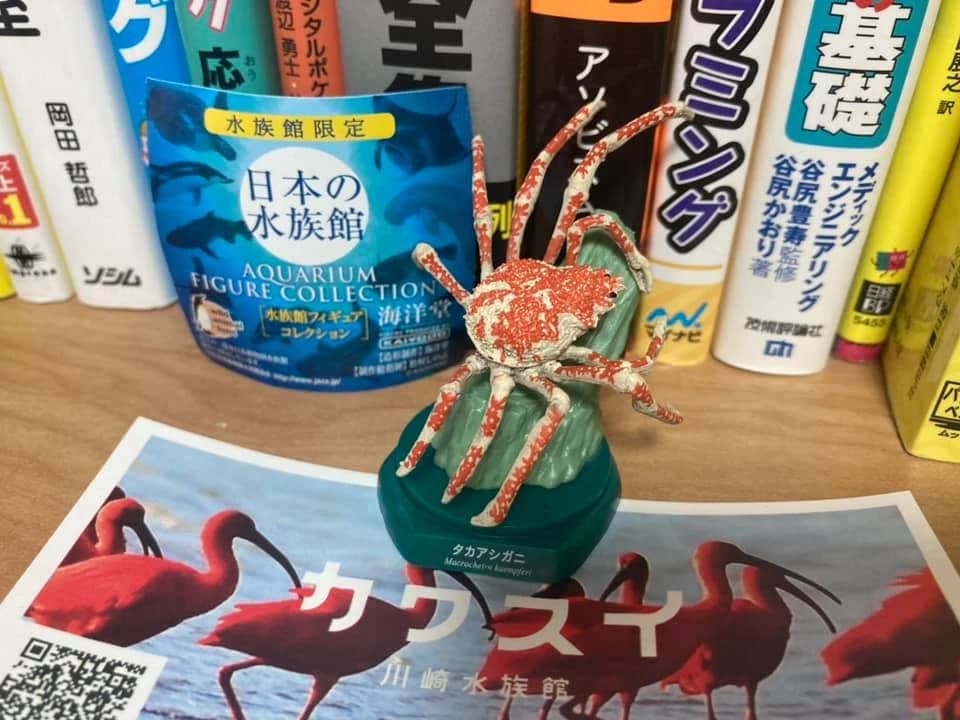 考える力をみがく、パソコン家庭教師 ロボット・プログラミング教室 鷺沼教室 画像 18