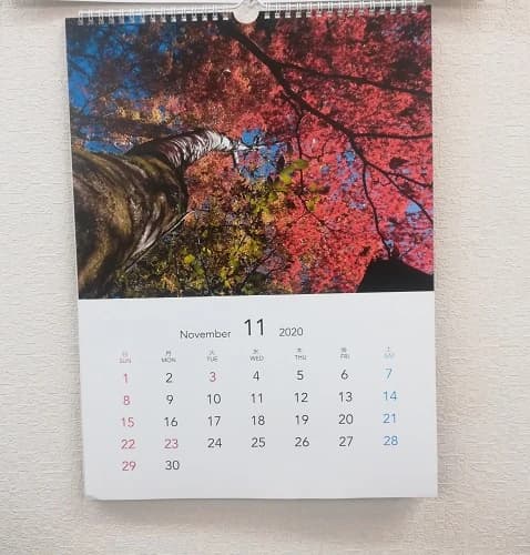 市民パソコン塾 ロボット・プログラミング教室 狭山校 画像 52