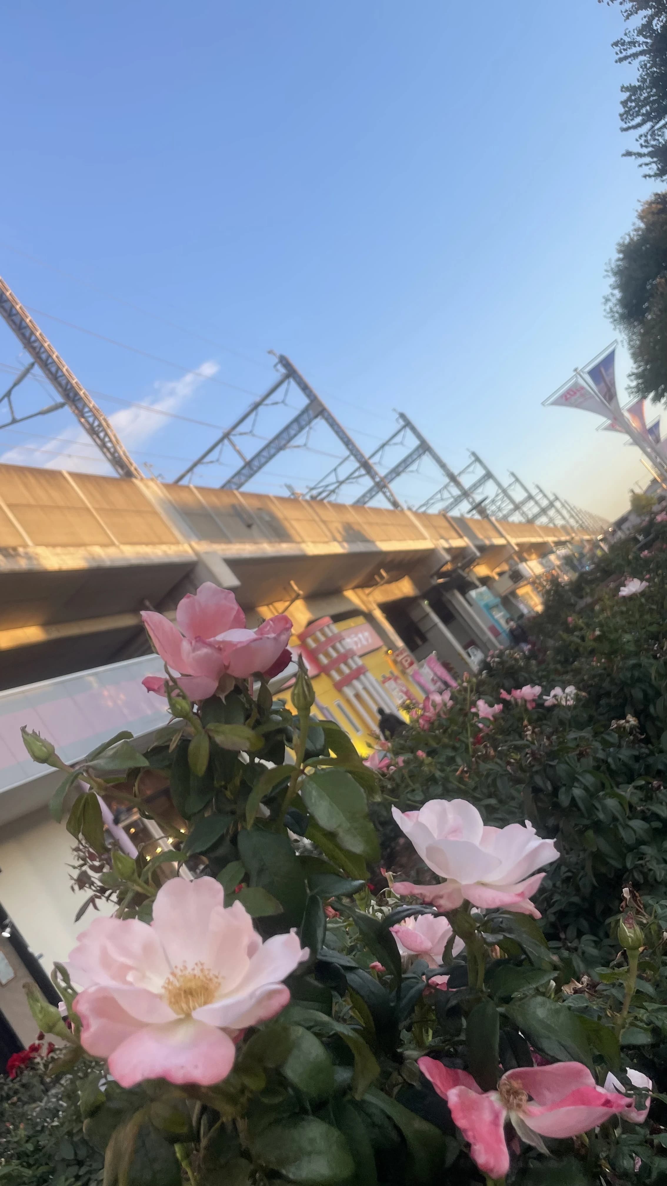 市民パソコン塾 ロボット・プログラミング教室 与野本町校 画像 33