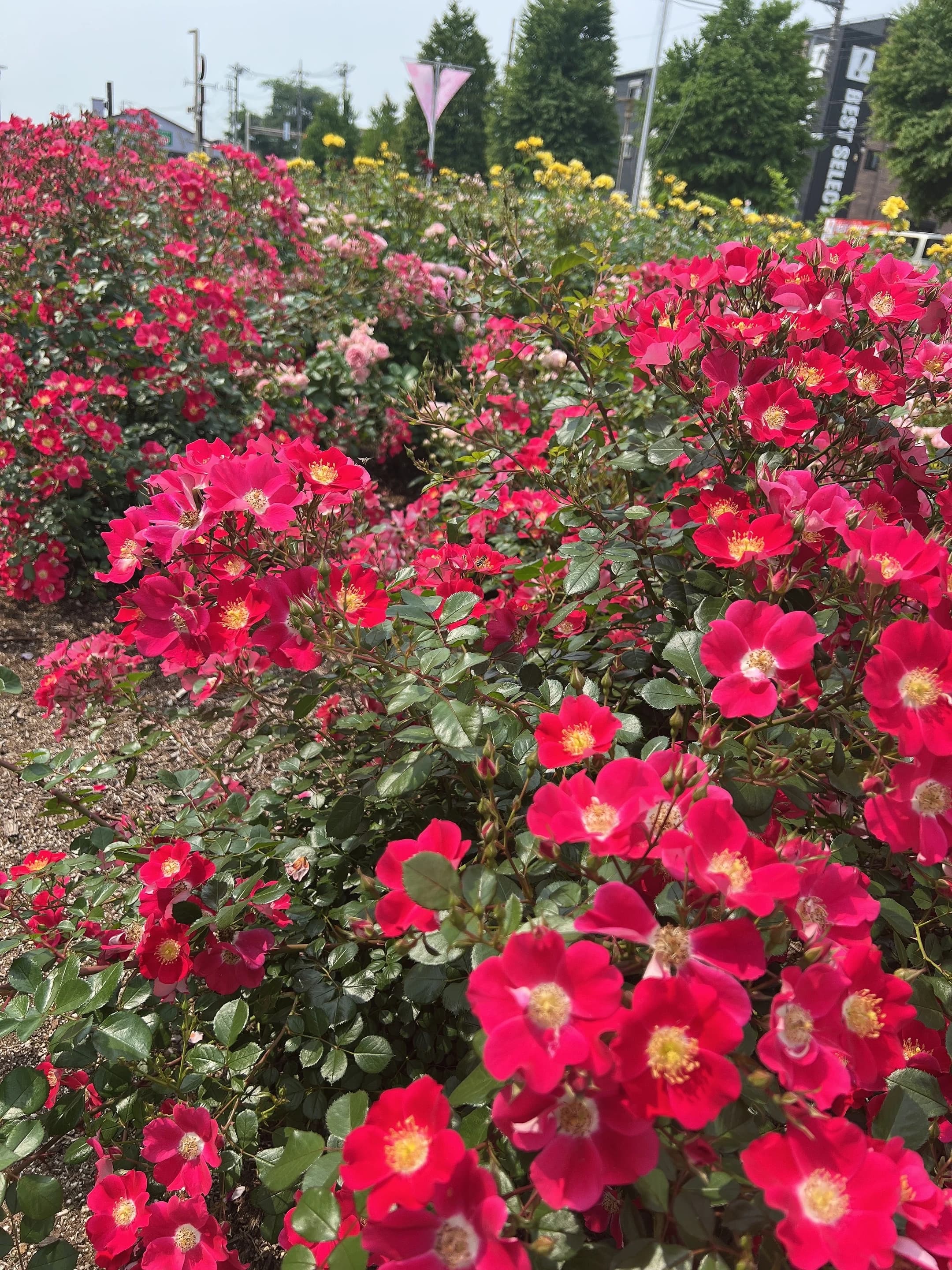 市民パソコン塾 ロボット・プログラミング教室 与野本町校 画像 35