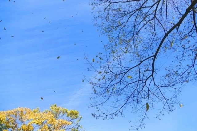 サムネイル画像 5