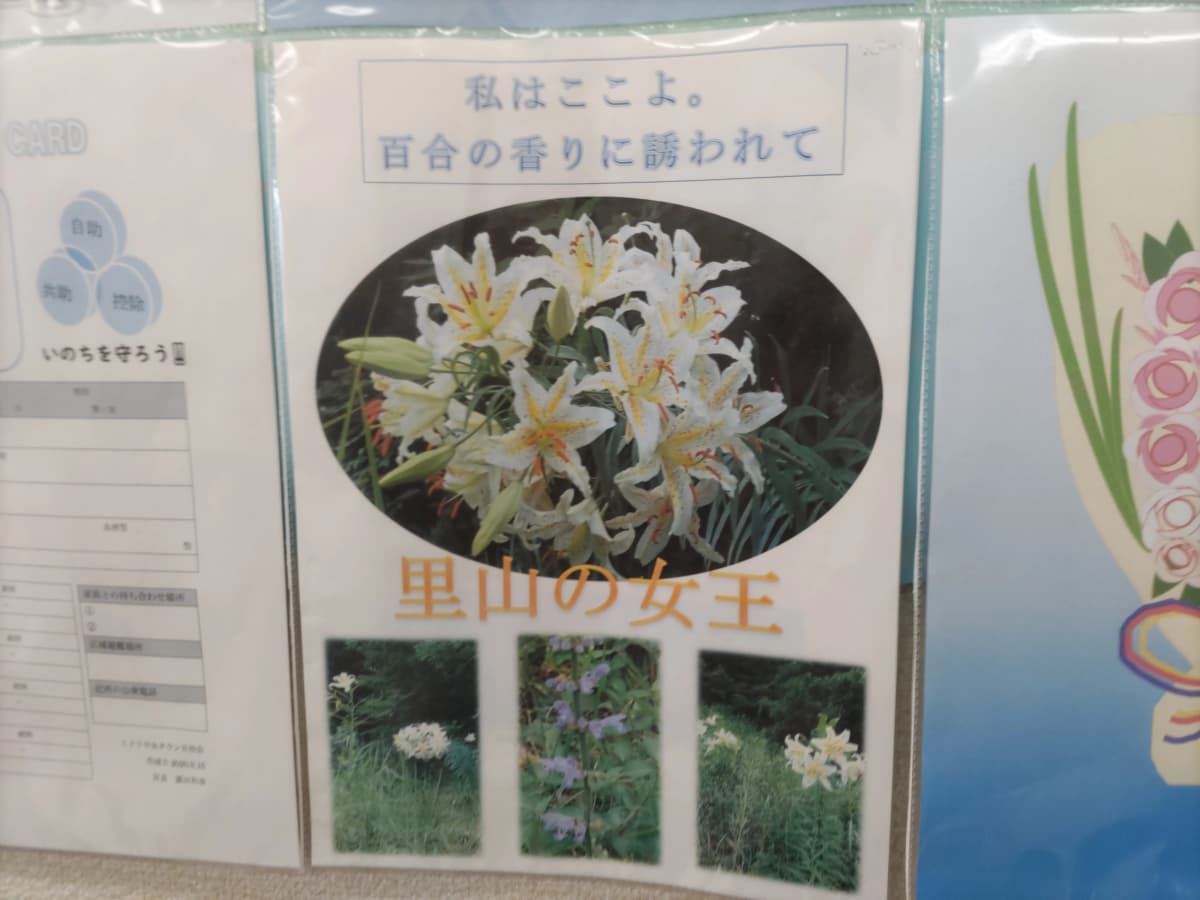 市民パソコン塾 ロボット・プログラミング教室 市原校 画像 23