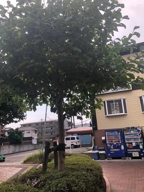 市民パソコン塾 鎌取校 画像 156