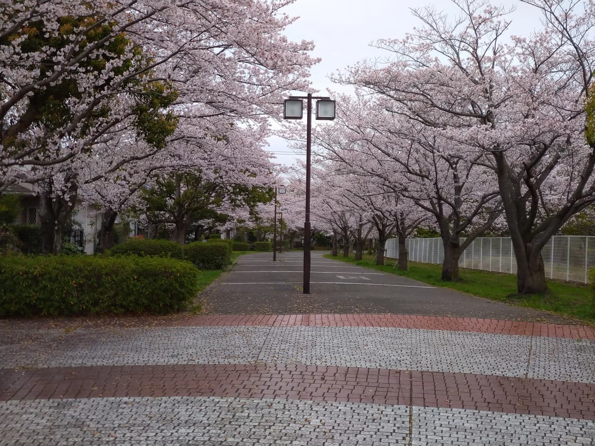 市民パソコン塾 鎌取校 画像 69