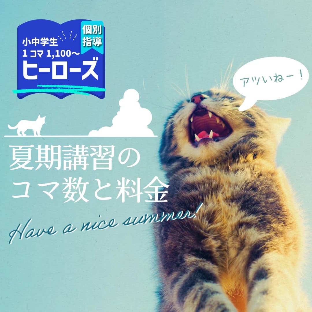 Hero’ｓ(ヒーローズ)プログラミング 宇都宮山本校のサムネイル画像 4