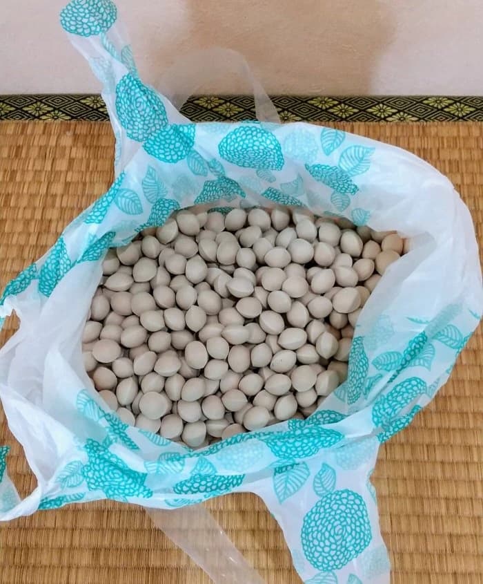 スマホ＆パソコン教室オズ ロボット・プログラミング教室 一宮玉野教室 画像 31