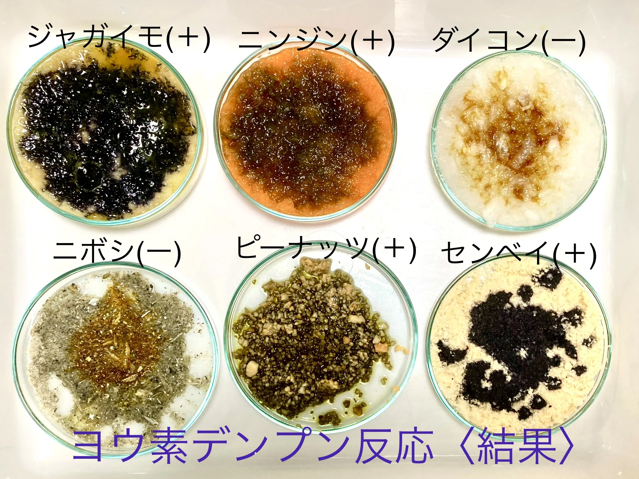 サムネイル画像 4