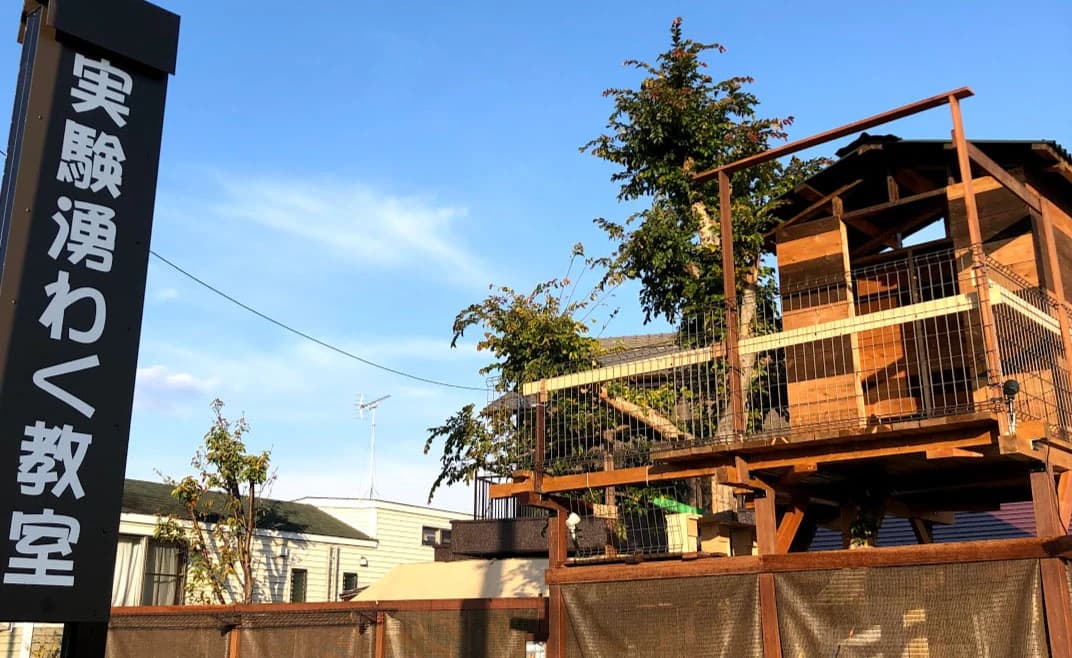 実験湧わく教室 科学教室 横屋教室のメイン画像