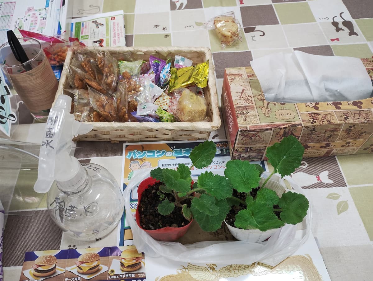 サムネイル画像 6