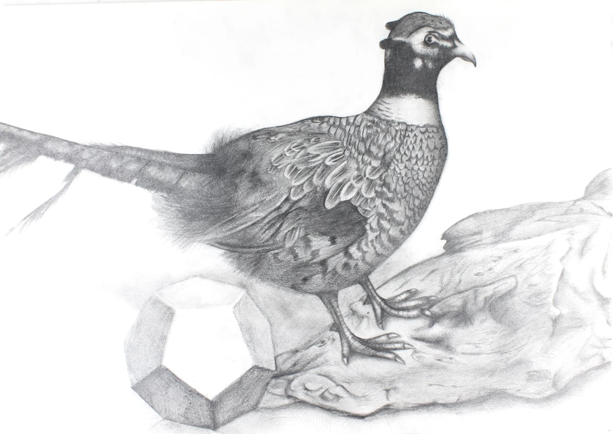 サムネイル画像 3