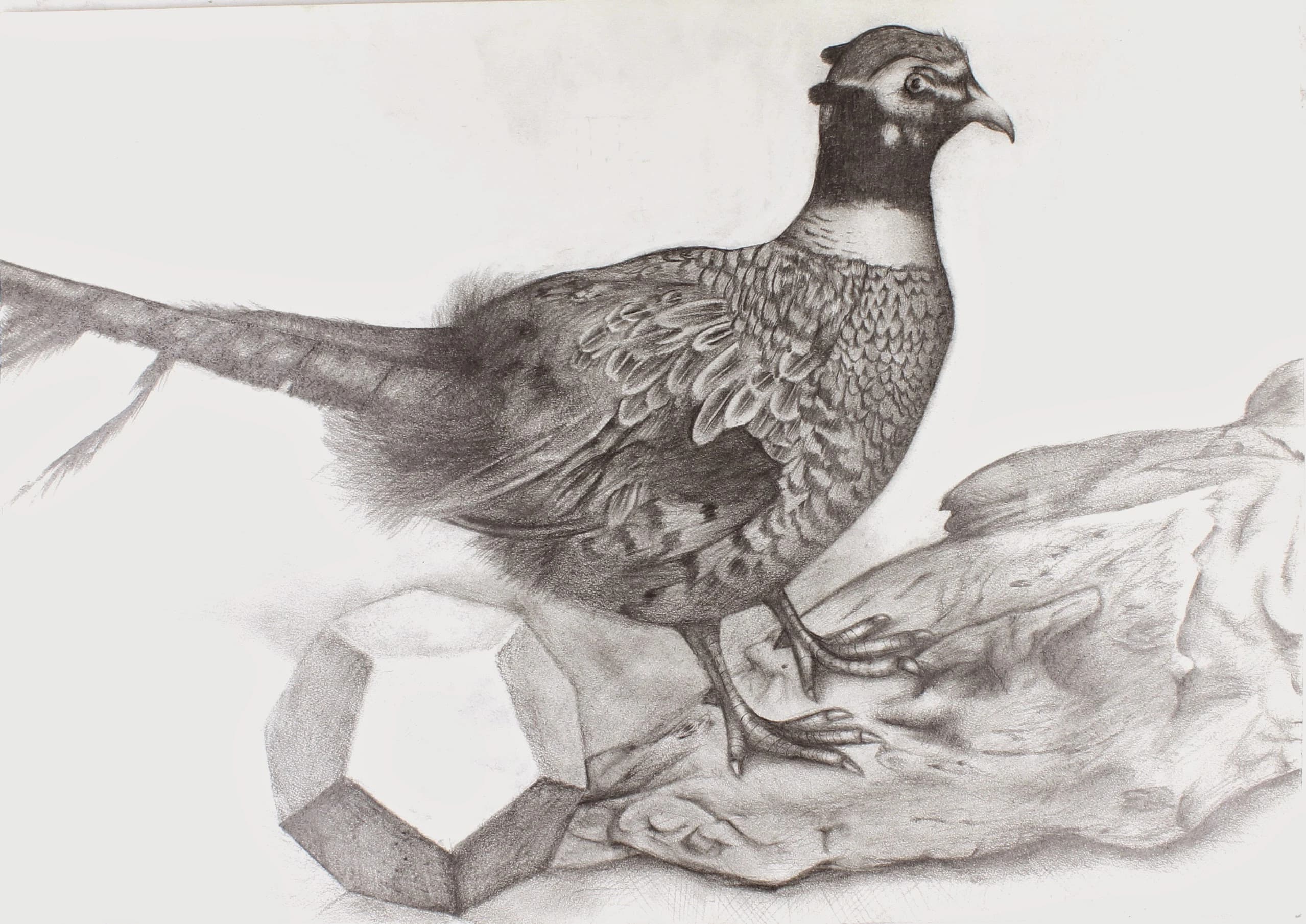 がじゅく 美術（絵画・造形・工作） 菊川スタジオのサムネイル画像 3