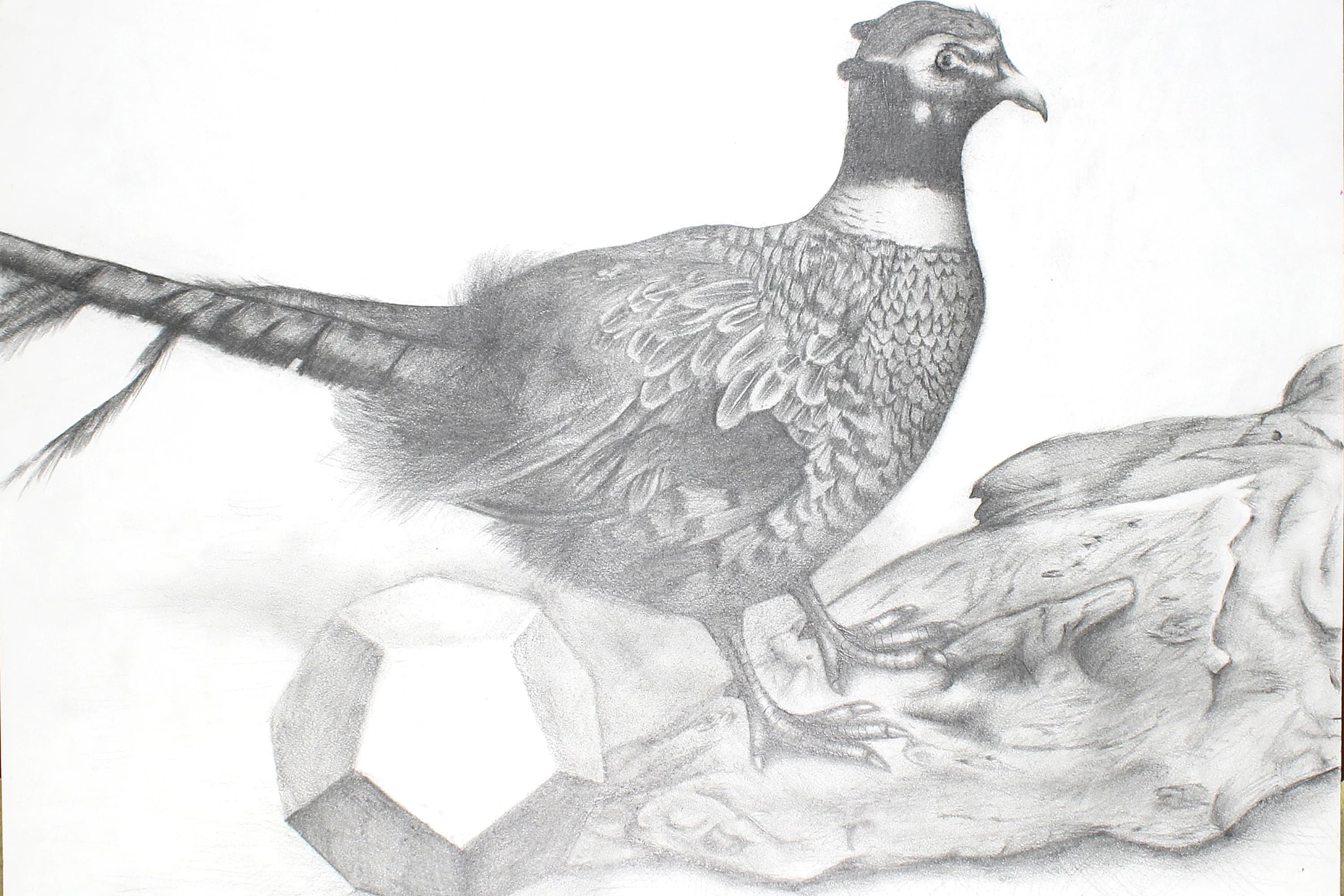 がじゅく 美術（絵画・造形・工作） 三鷹スタジオのサムネイル画像 3