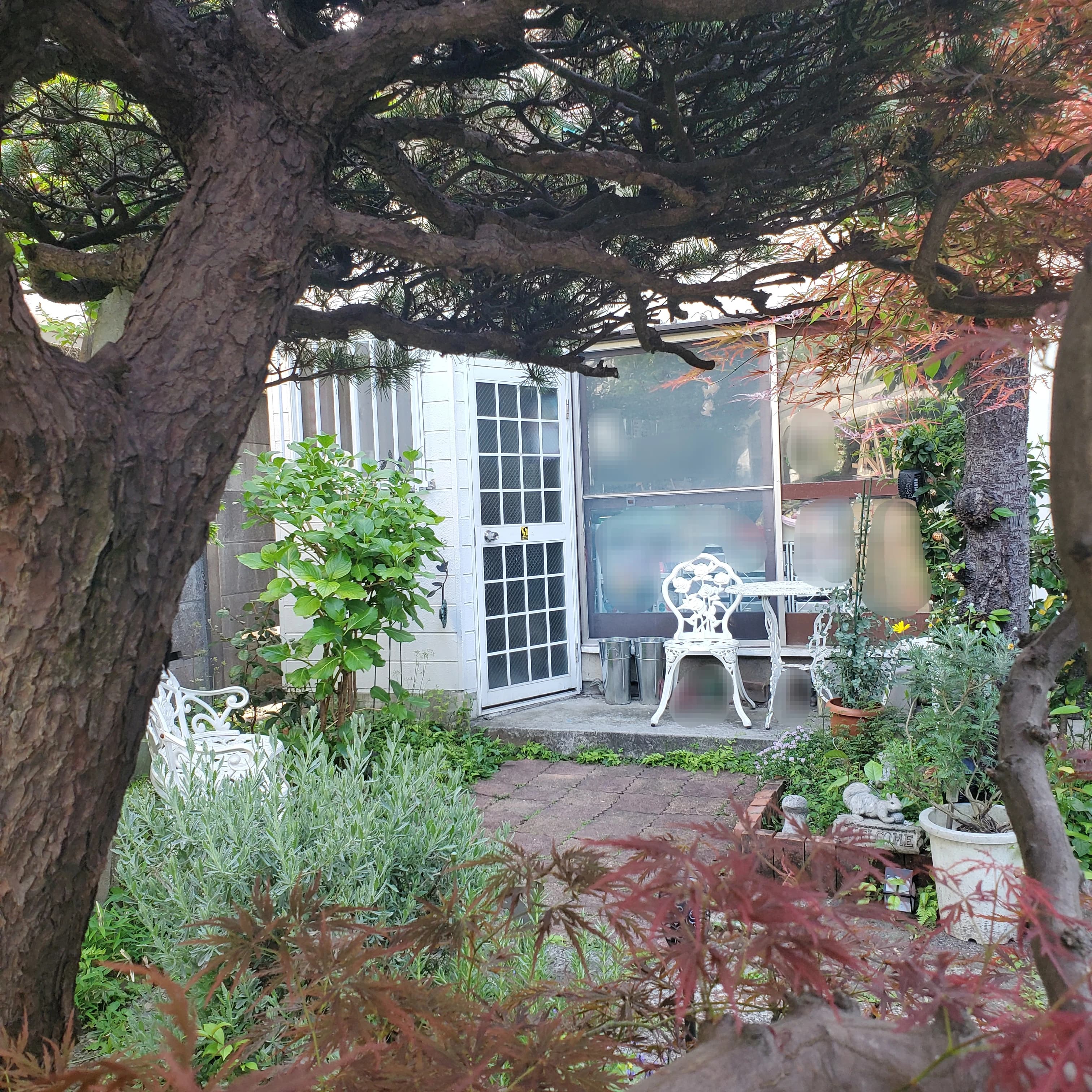 サムネイル画像 3