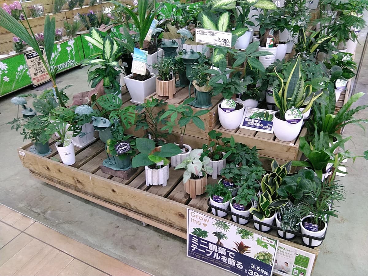 クレイスペースみなみ野陶房 美術（絵画・造形・工作） DVMホーマック八王子みなみ野店 画像 25