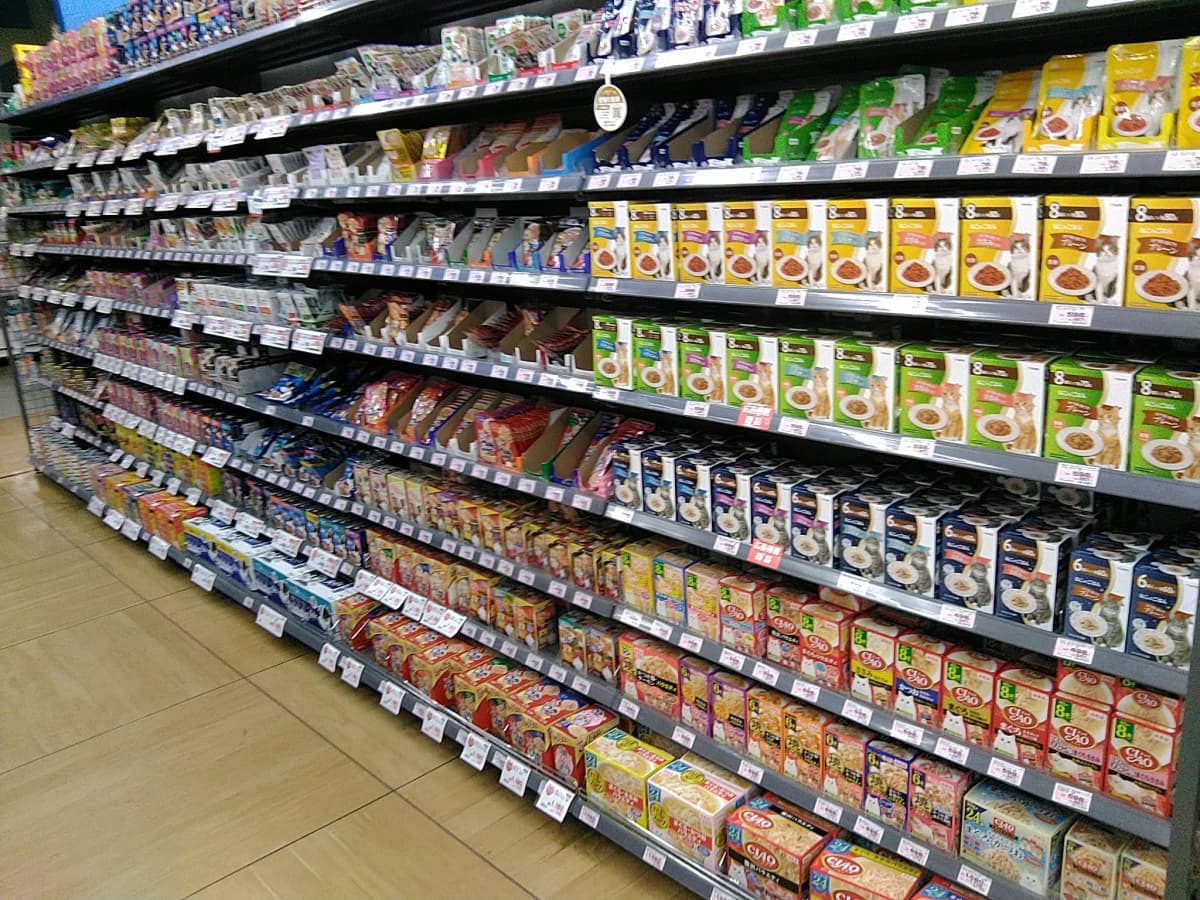 クレイスペースみなみ野陶房 美術（絵画・造形・工作） DVMホーマック八王子みなみ野店 画像 33