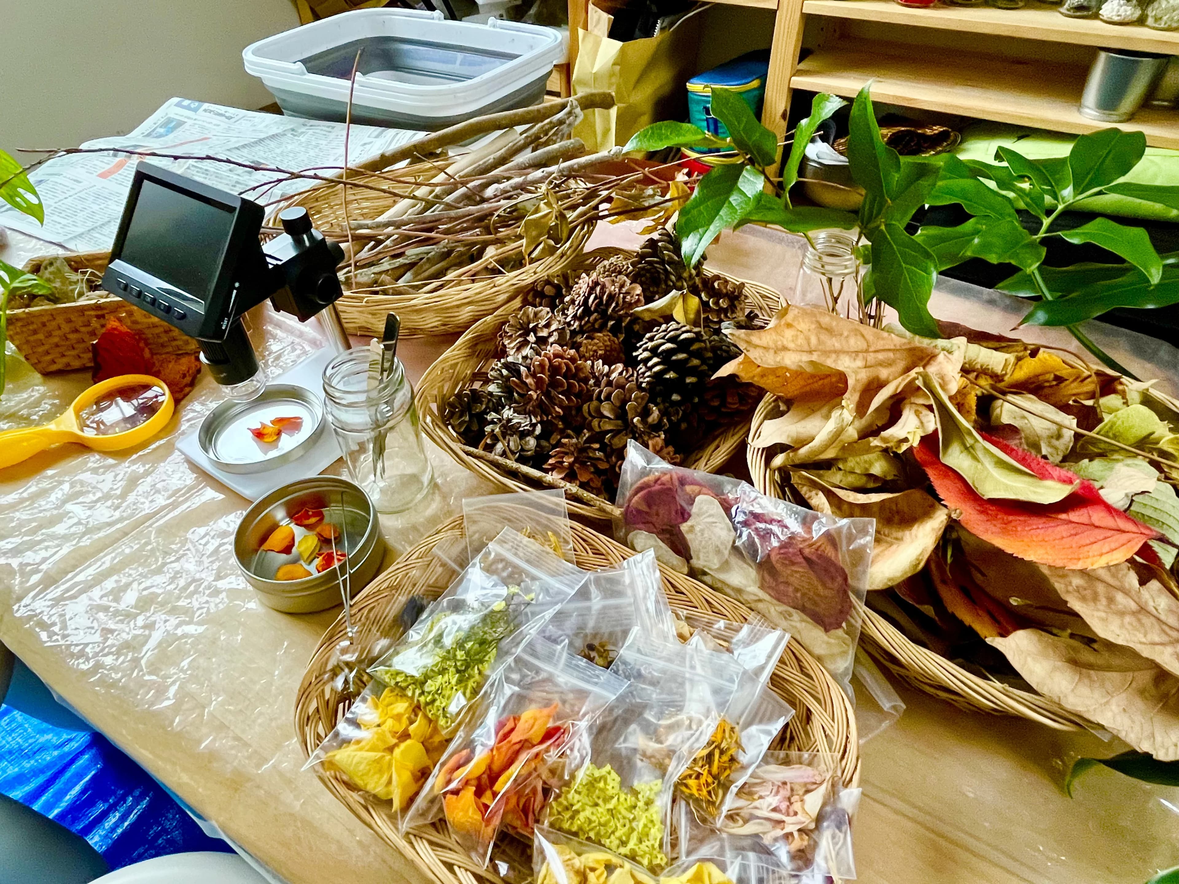 こどものアトリエ カラフル 雪谷教室のサムネイル画像 3