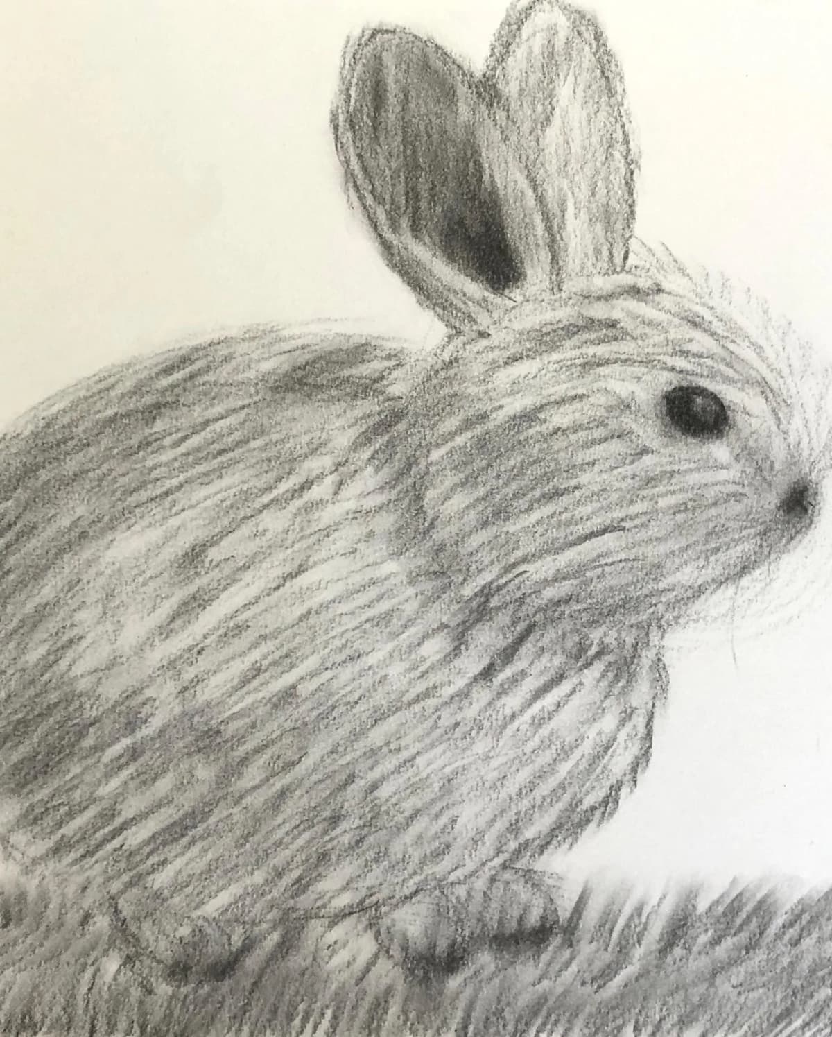 放課後ワークショップARTKIDS 美術（絵画・造形・工作） 三宿神社社務所 画像 19