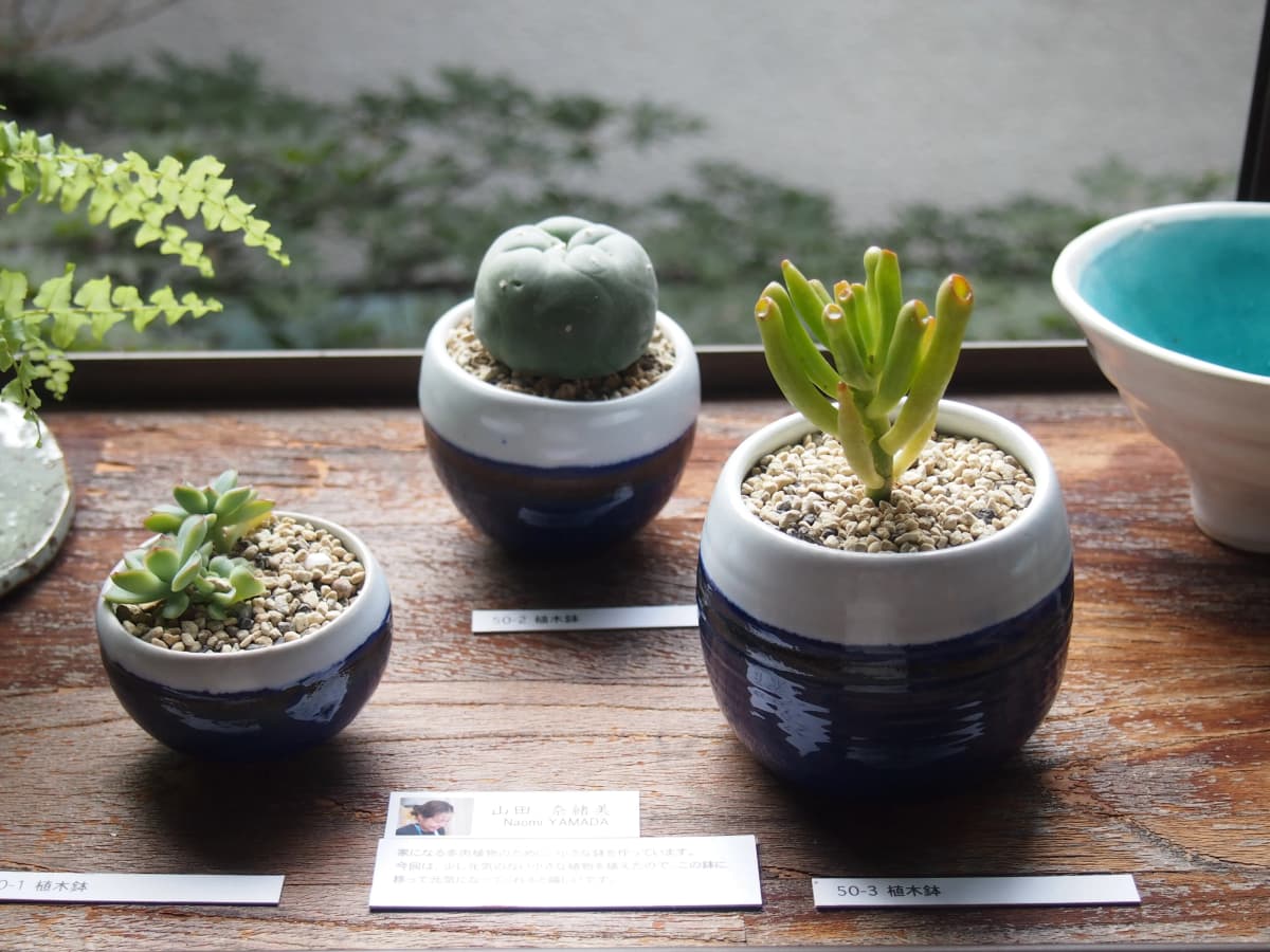 陶芸教室ポティエ 美術（絵画・造形・工作） 東池袋教室 画像 39