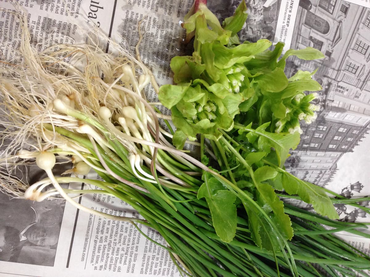 Atelier Alchemist(アトリエ・アルケミスト) 美術（絵画・造形・工作） 玉川学園教室 画像 17