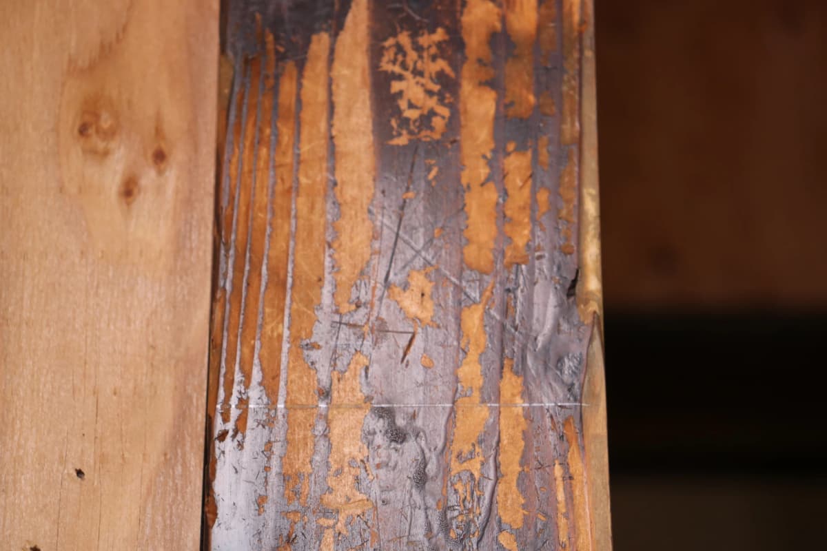 サムネイル画像 3