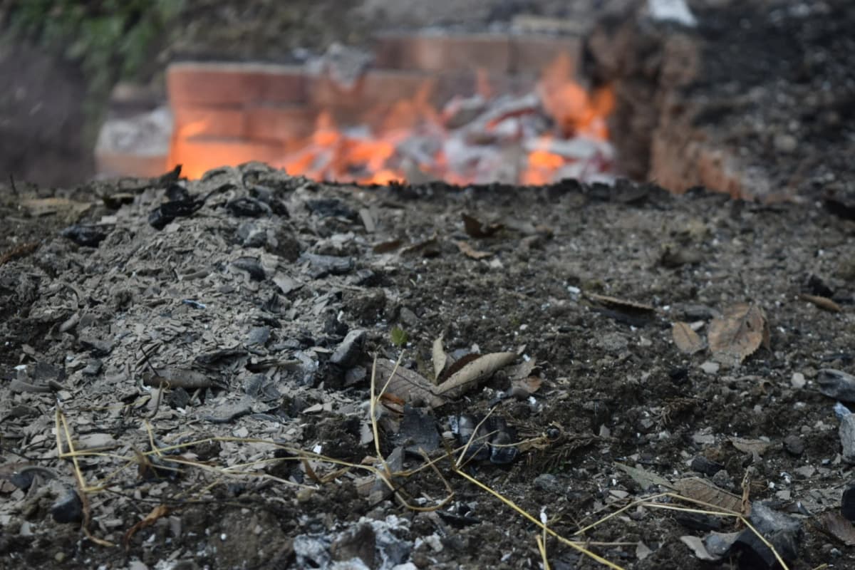 サムネイル画像 4