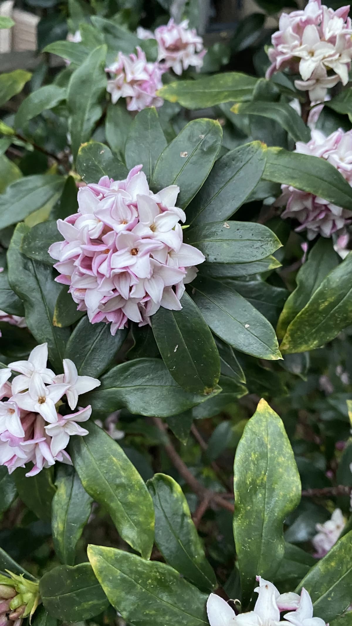 サムネイル画像 3