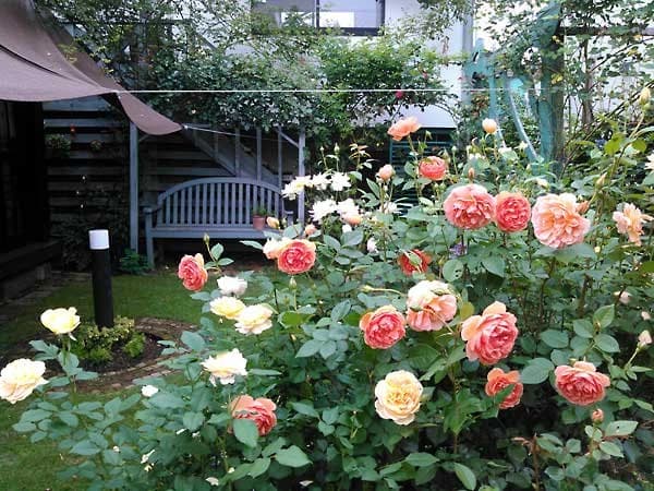 サムネイル画像 3