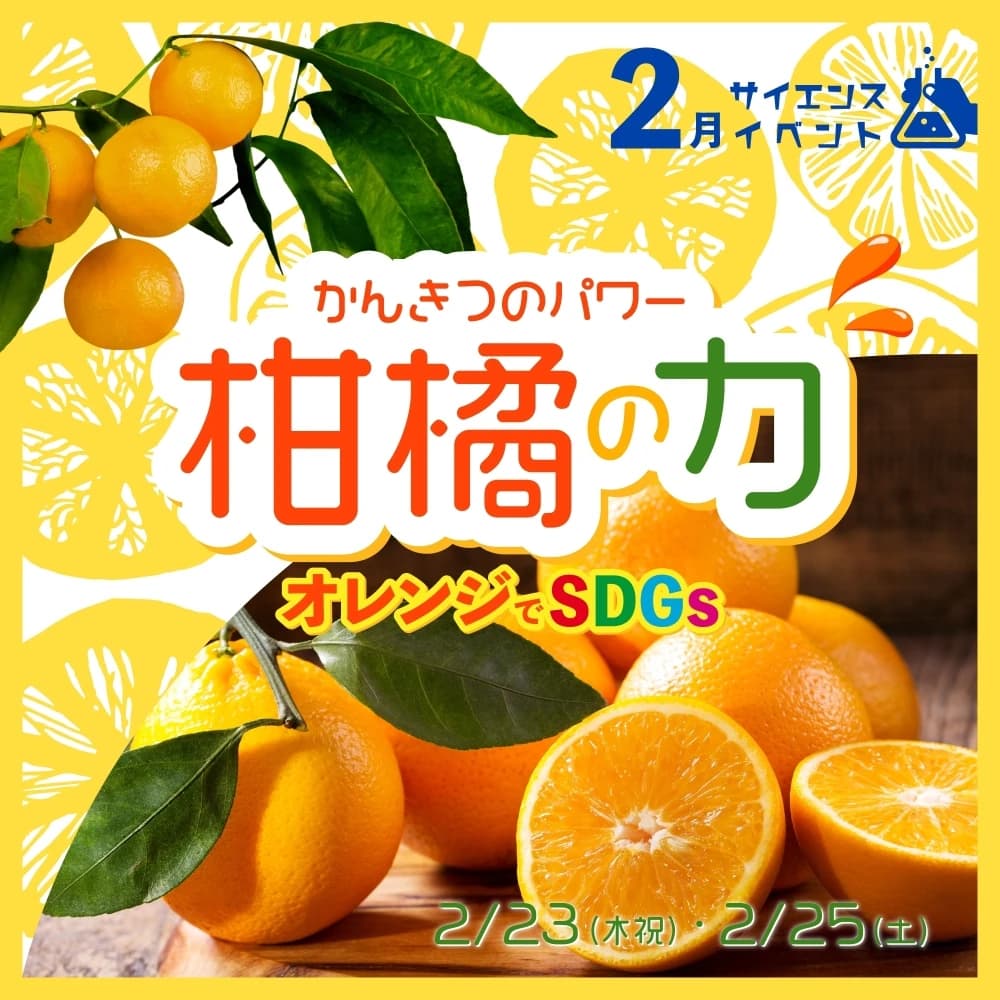 Lumiere(ルミエール) 美術（絵画・造形・工作） 横浜校 画像 46