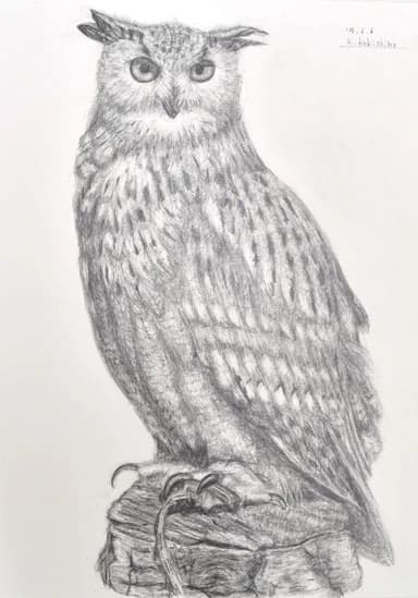 tabunoki(タブノキ) 美術（絵画・造形・工作） 木月教室のサムネイル画像 2