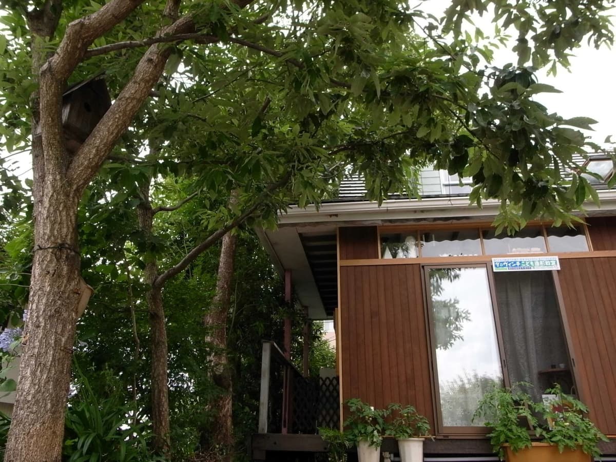 サムネイル画像 3