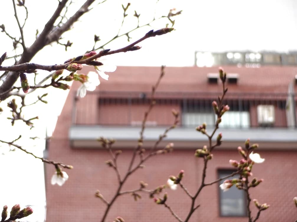 子ども絵画造形教室ぴくーる いろは美術倶楽部 甲風園教室のサムネイル画像 3