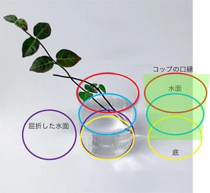 MARONIE ART(マロニエ美術教室) 美術（絵画・造形・工作） 十日市東教室 画像 24