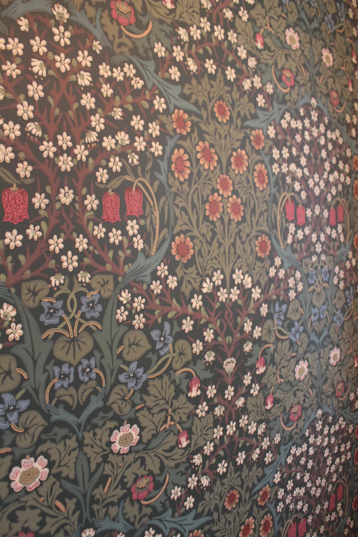 サムネイル画像 4