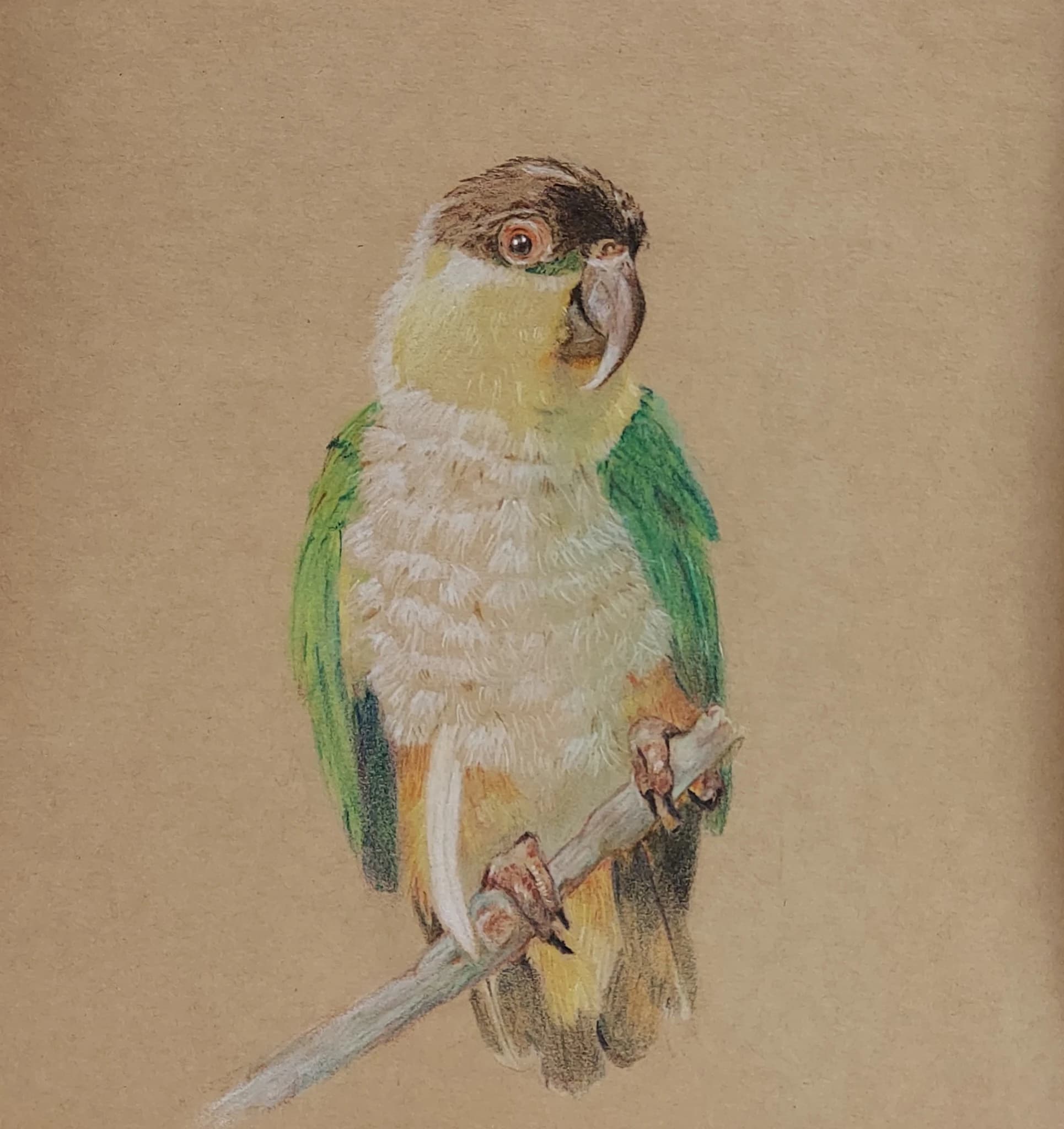 長崎新聞カルチャーセンター 美術（絵画・造形・工作） 本校のサムネイル画像 3