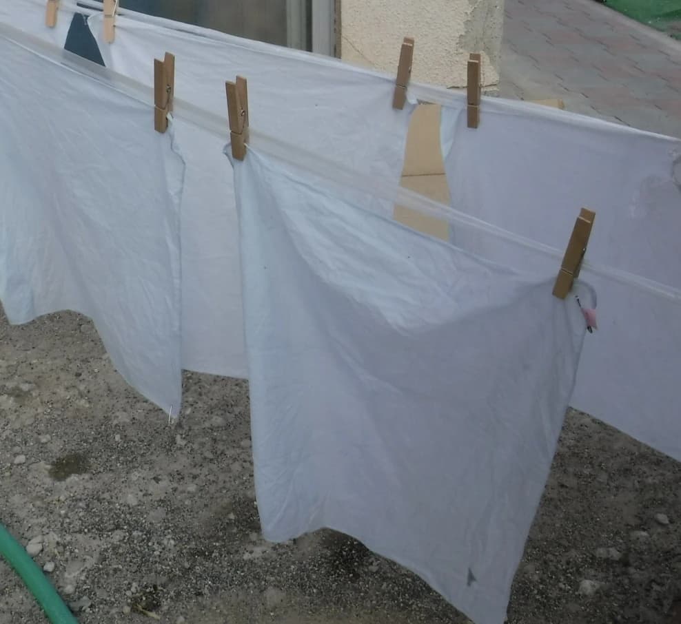 ぴょんぴょん 自然体験 太田下町教室 画像 18