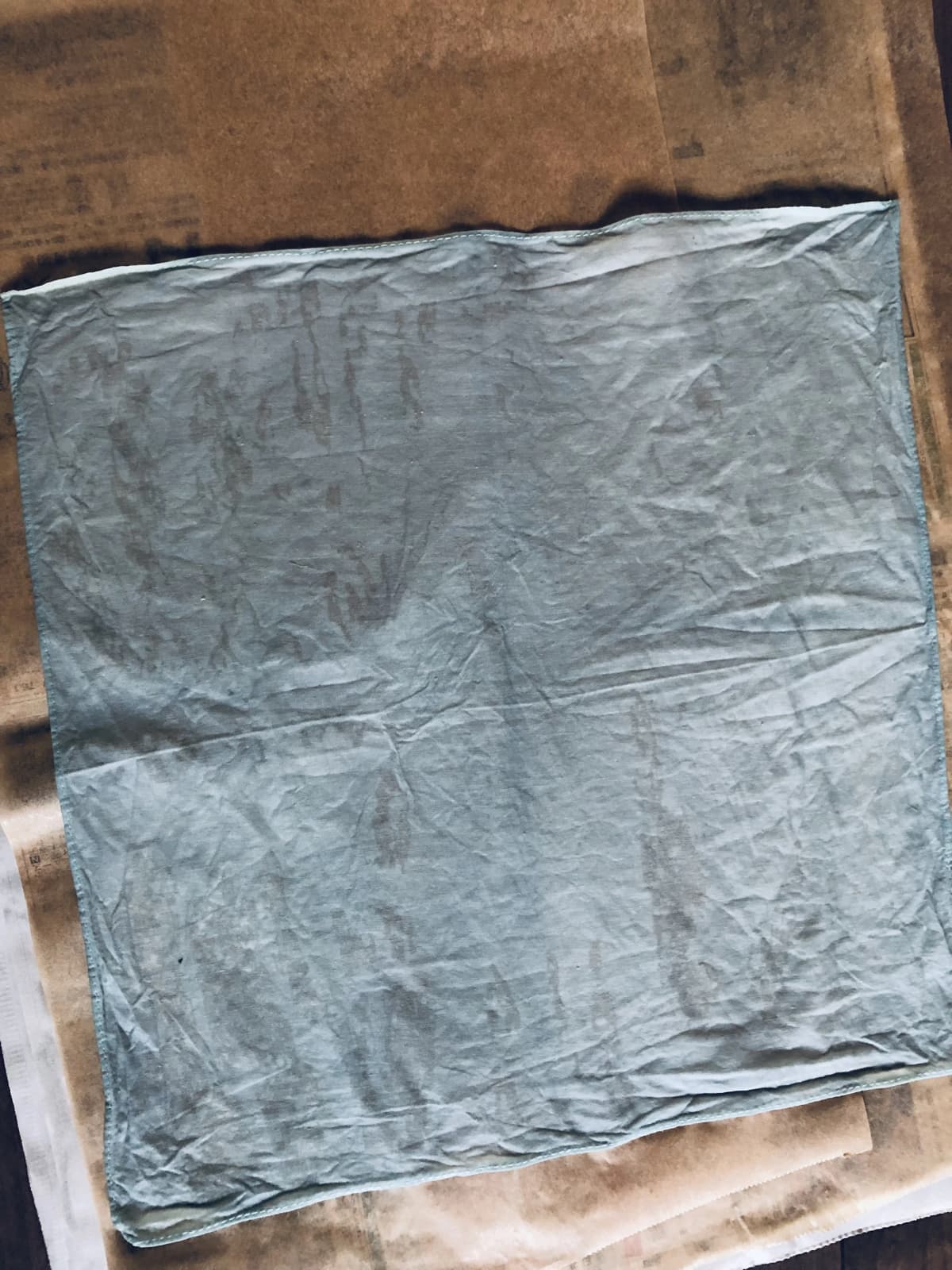 ぴょんぴょん 自然体験 太田下町教室 画像 21