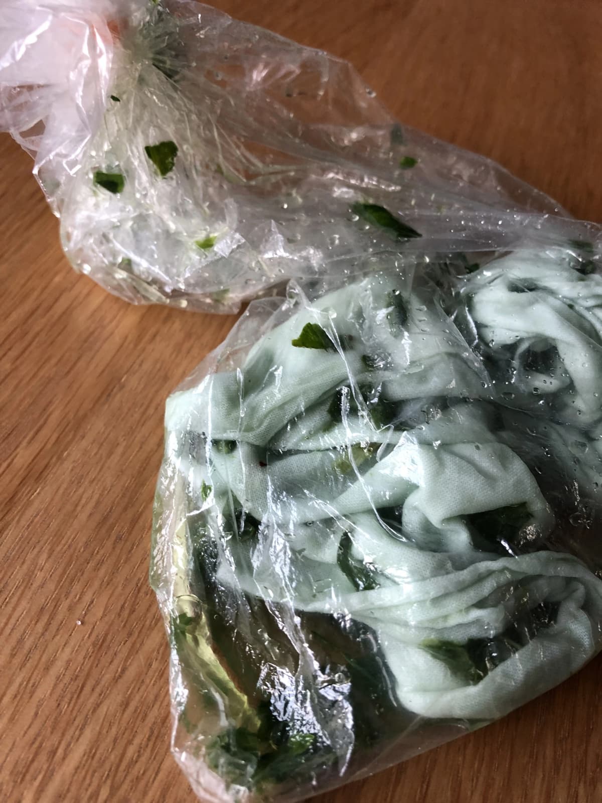 ぴょんぴょん 自然体験 太田下町教室 画像 25