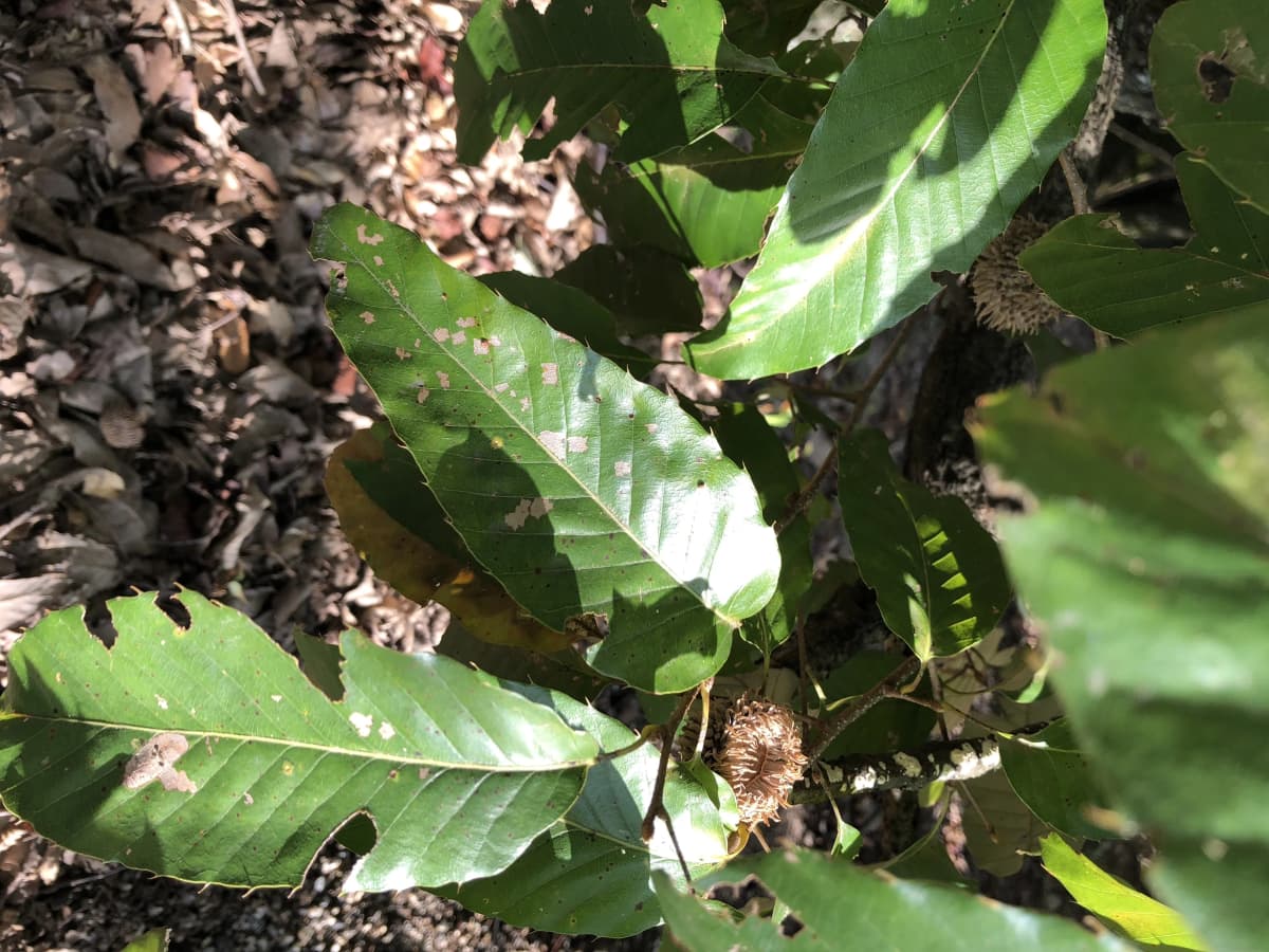 サムネイル画像 6