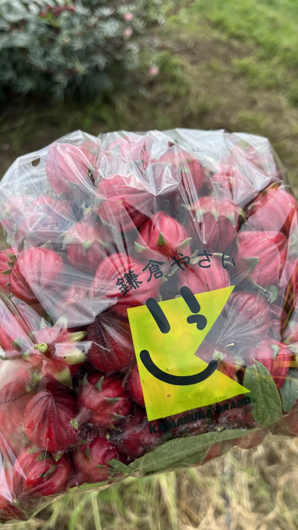 サムネイル画像 5