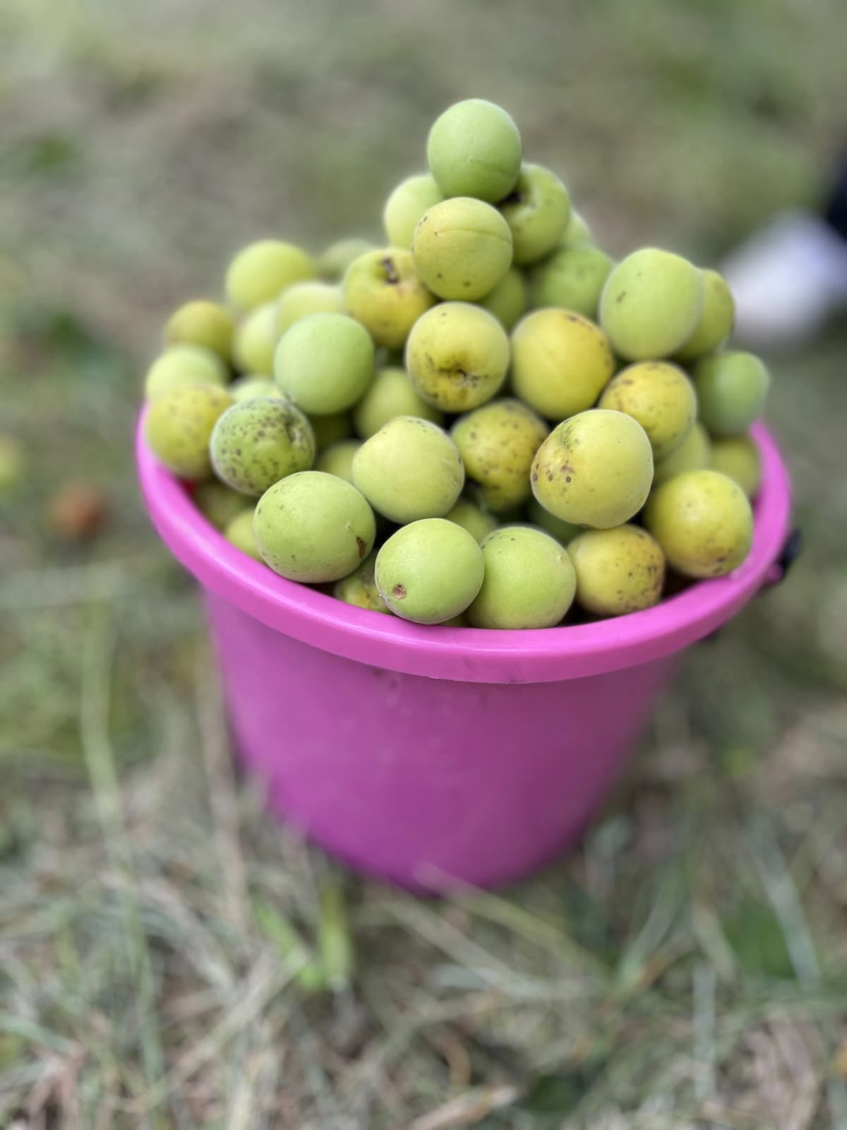 サムネイル画像 6