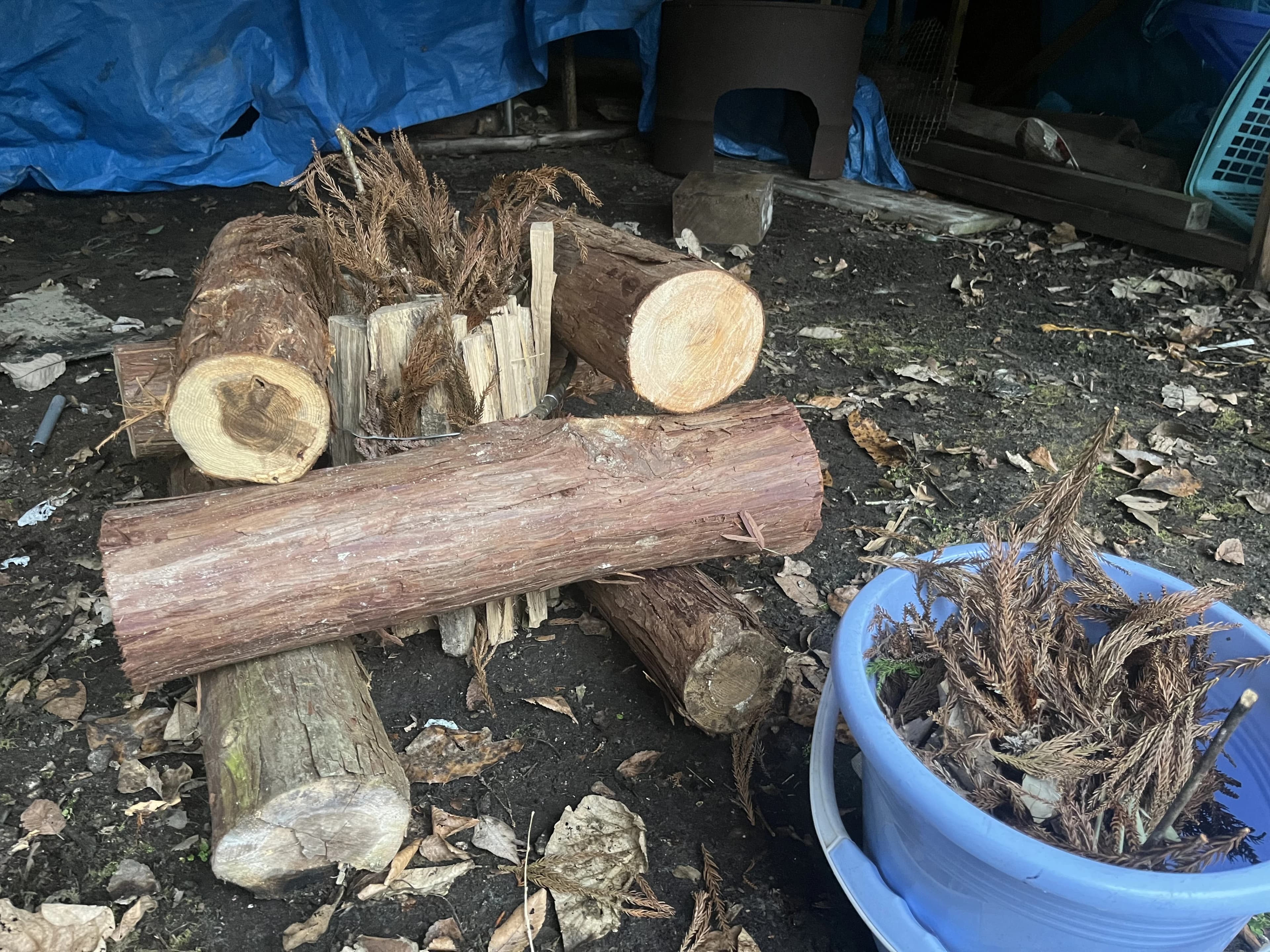 ボーイスカウト 豊田第2団 画像 2