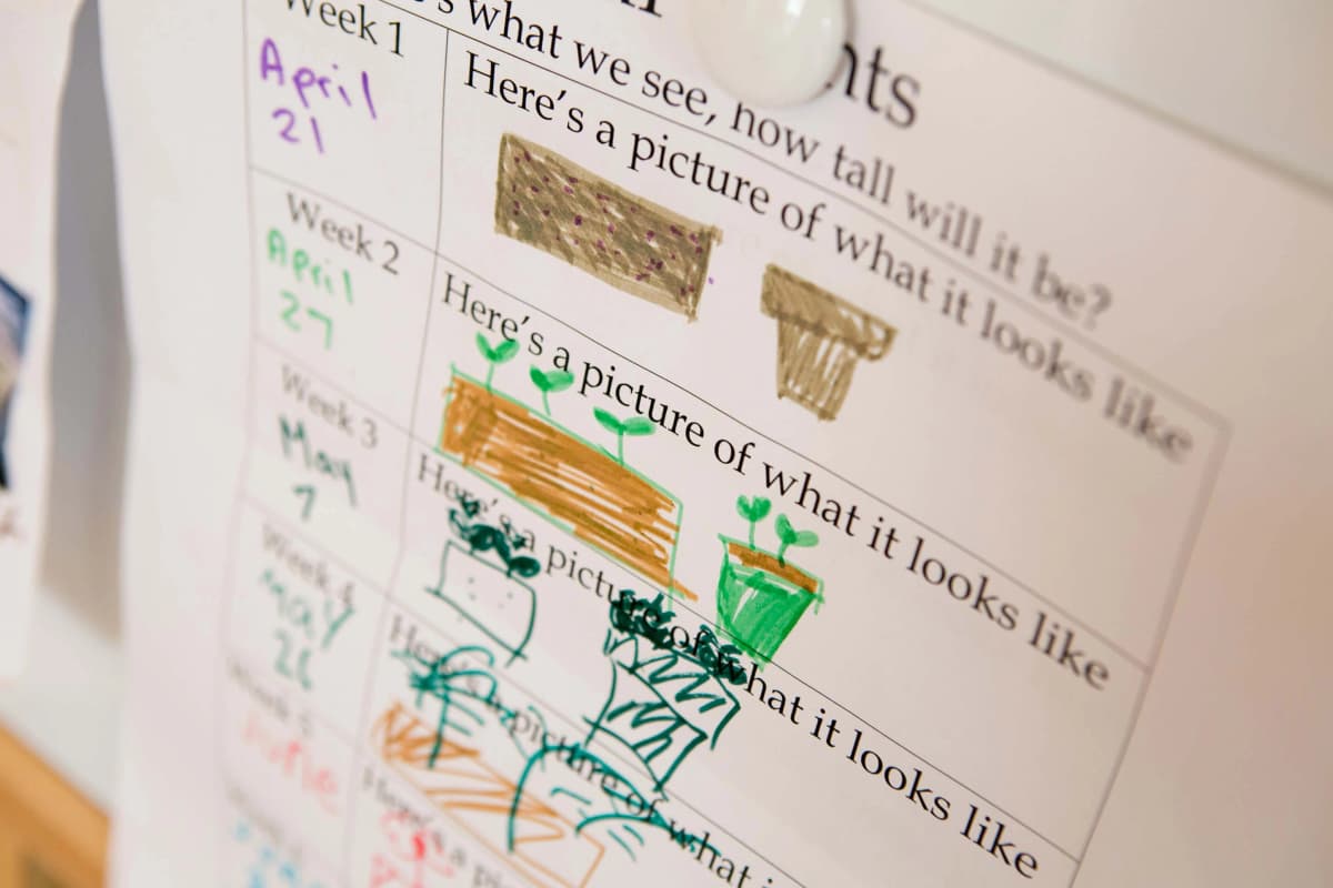 サムネイル画像 5