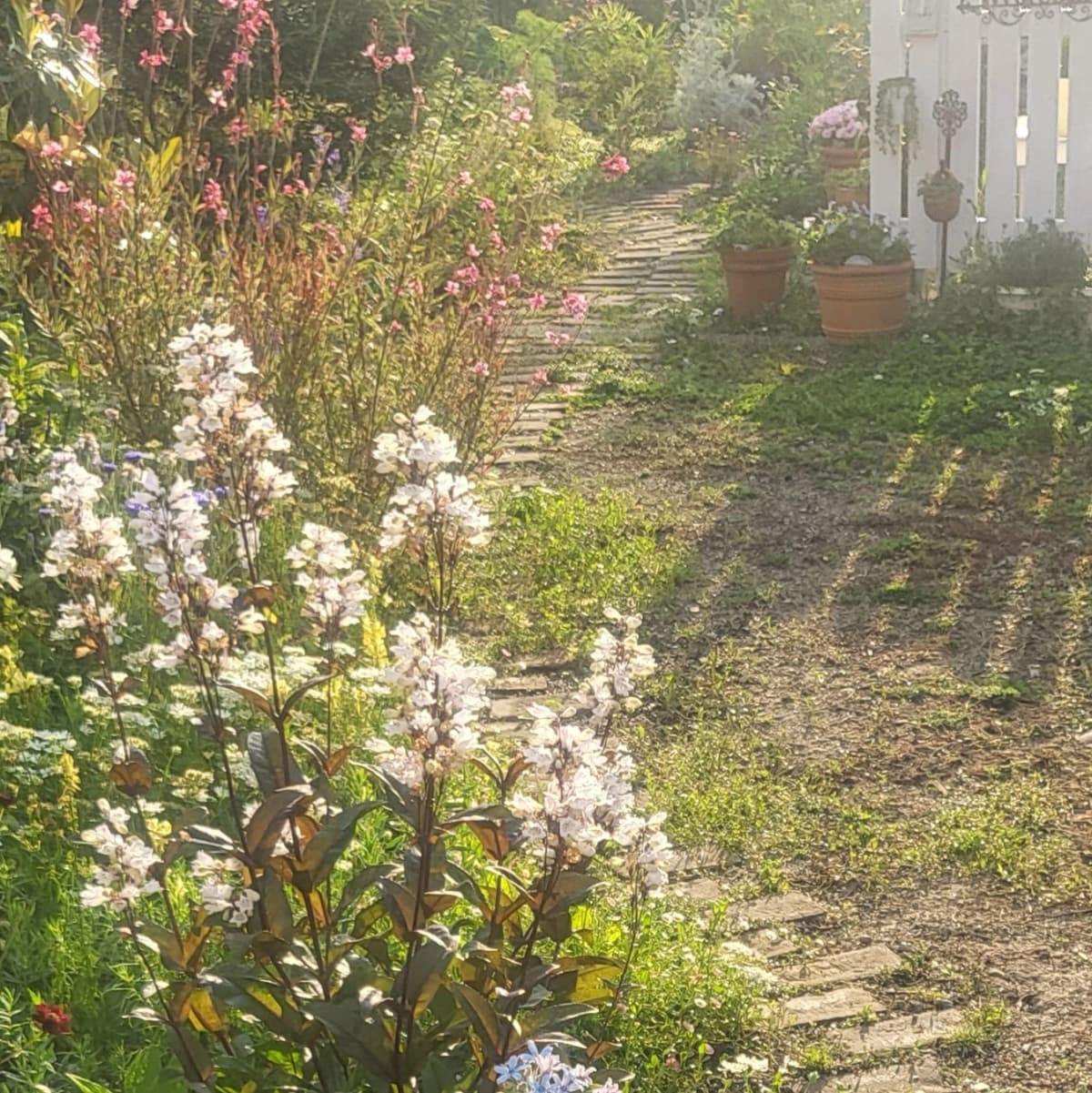 サムネイル画像 4