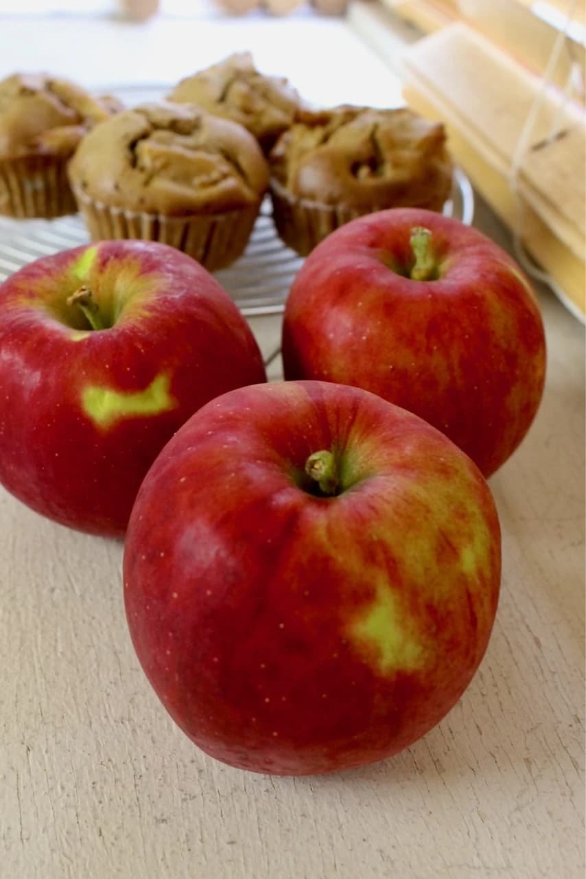 ミサリングファクトリー 料理教室 丸山台教室 画像 26